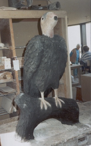 UglyCondor.jpg UglyCondor.jpg